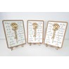 PLACA ROSA PERSONALIZADA